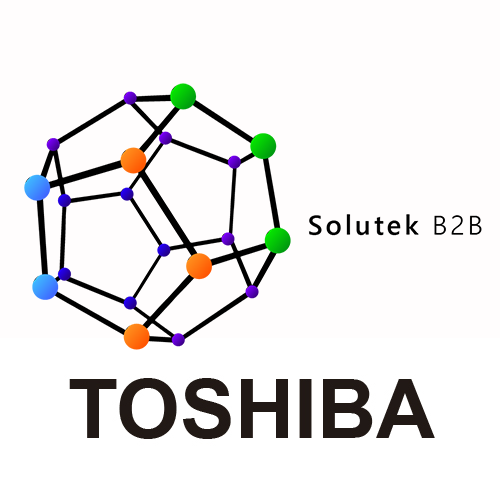 Instalacion de Computadores TOSHIBA